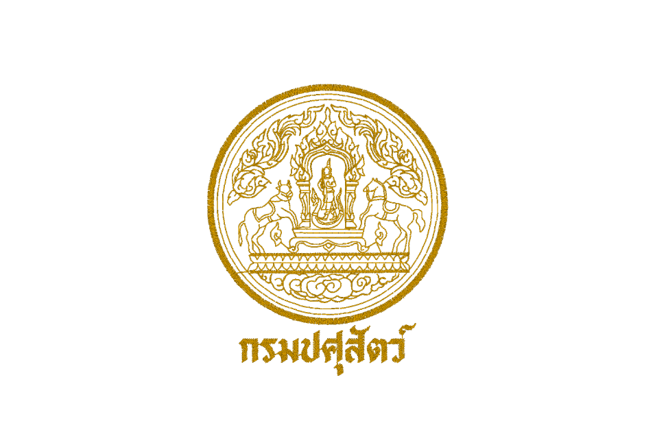 กรมปศุสัตว์สั่งโรงงานแปรรูปไก่ที่มีคลัสเตอร์ COVID-19 ชะลอส่งออกชั่วคราว