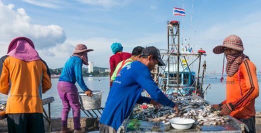 สปป.ลาว ประกาศระงับการนำเข้าอาหารทะเลสด แช่เย็น และแช่แข็งจากไทยเป็นการชั่วคราว